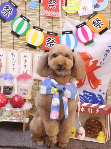 20240727マロンちゃん